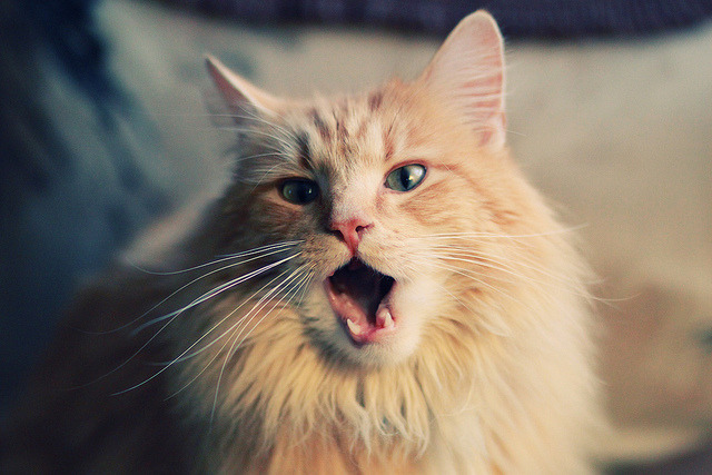 中国男篮重视海外拉练拓展国际视野，为提高男篮大赛成绩,给中国男篮支招,切实可行的建议!