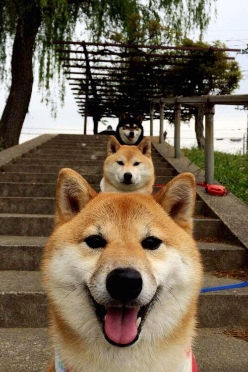 76人投篮教练现场调整球员手型改善出手质量，76人队战术