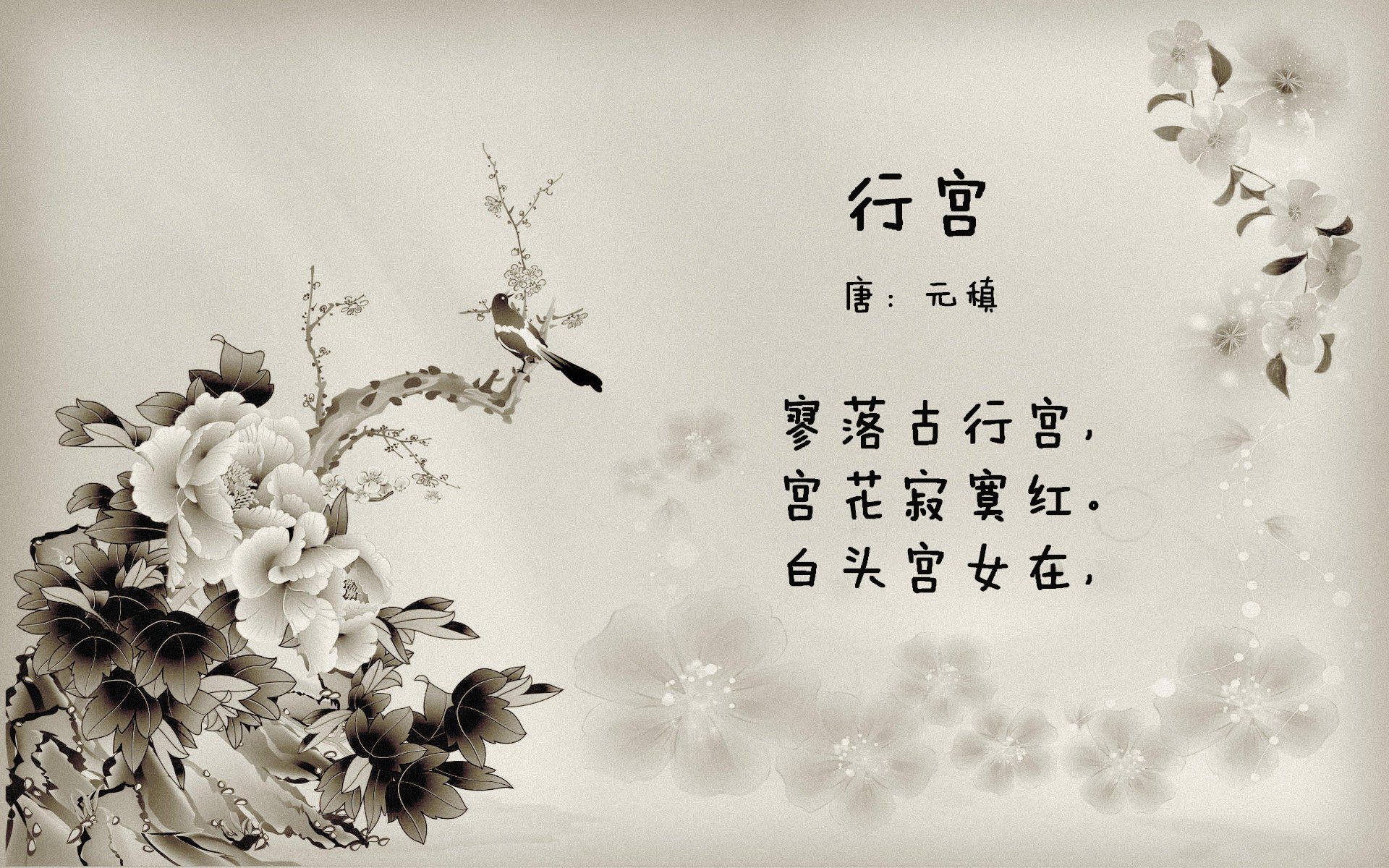 76人投篮教练现场调整球员手型改善出手质量，76人队战术