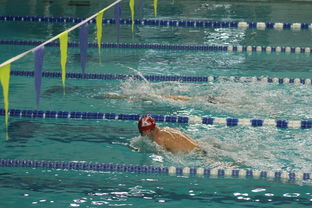 爱游戏官网-全国公开水域游泳赛长江赛段人气爆棚