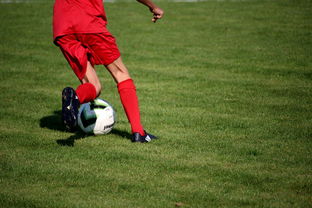 AYX体育官网-篮球运动员专项技能训练课程体系创新探索，篮球专项训练方案