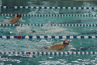 爱游戏体育账号注册-中国游泳运动员世锦赛接力项目表现抢眼，中国游泳接力夺金