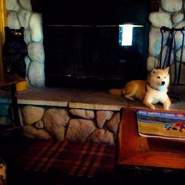 中国男篮年轻球员迎来大赛历练机会，中国男篮年轻一代