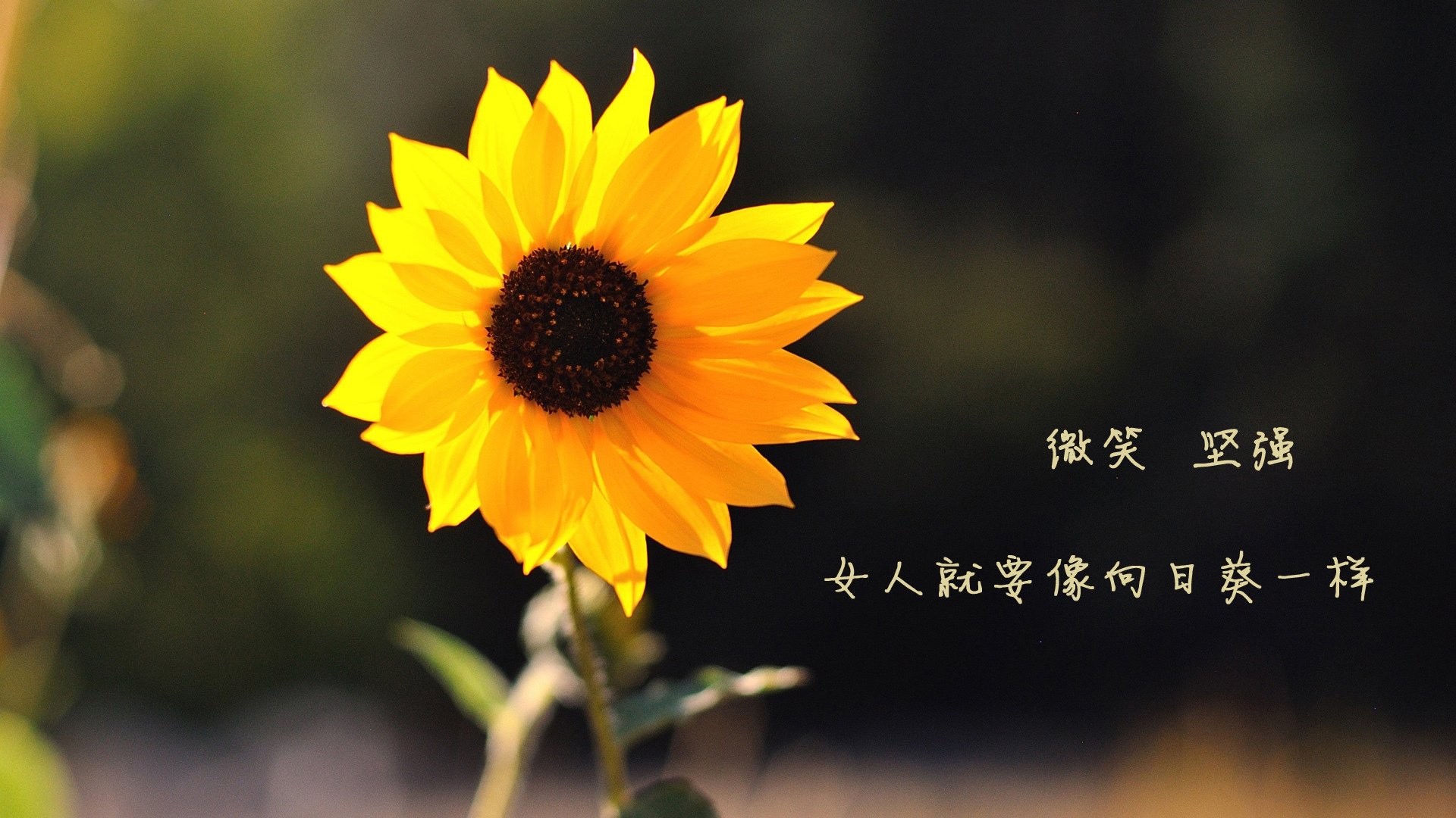 中国青年队迎战国际热身赛 战术调整成看点，中国青年队最好成绩