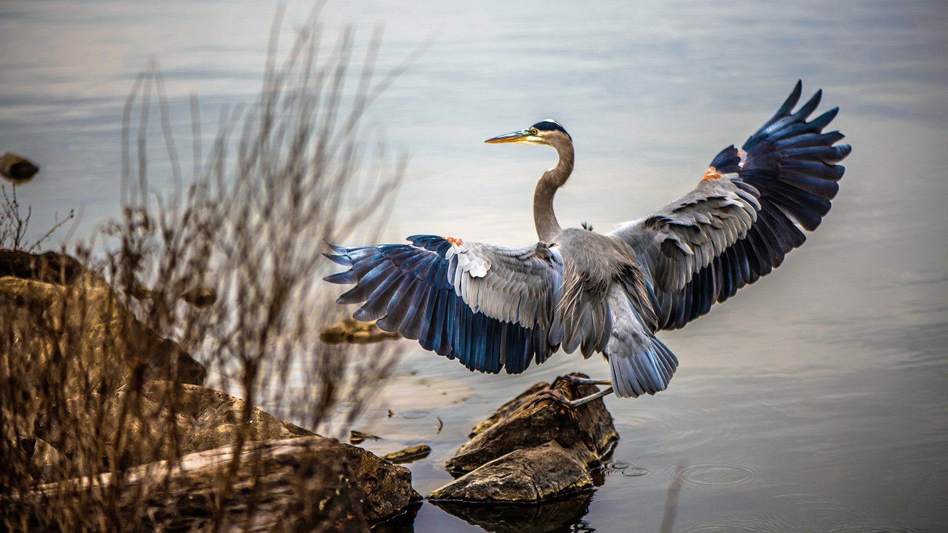 爱游戏体育（AYX）官方APP下载-五大联赛是否推动中后场组织点多核心分布，五大联赛广义实力定位