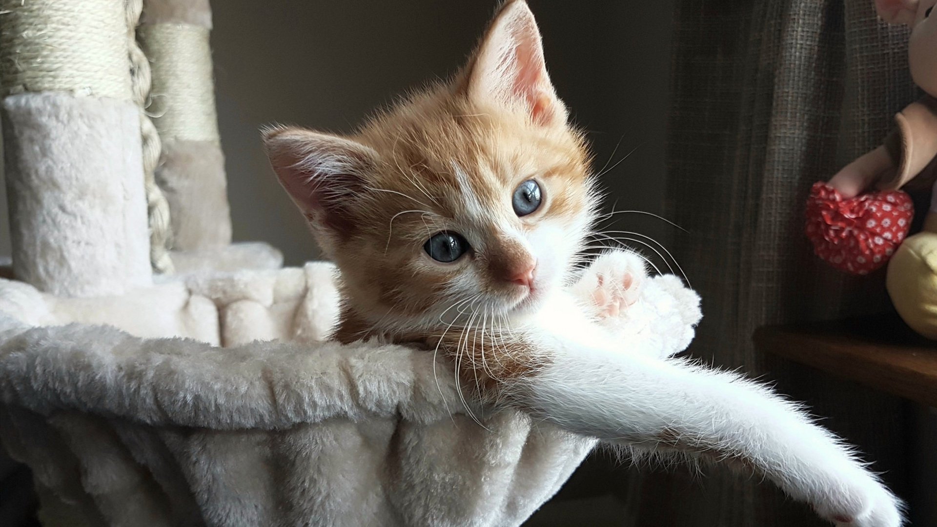 慢节奏是否利于维持防守位置完整性，慢节奏有什么好处