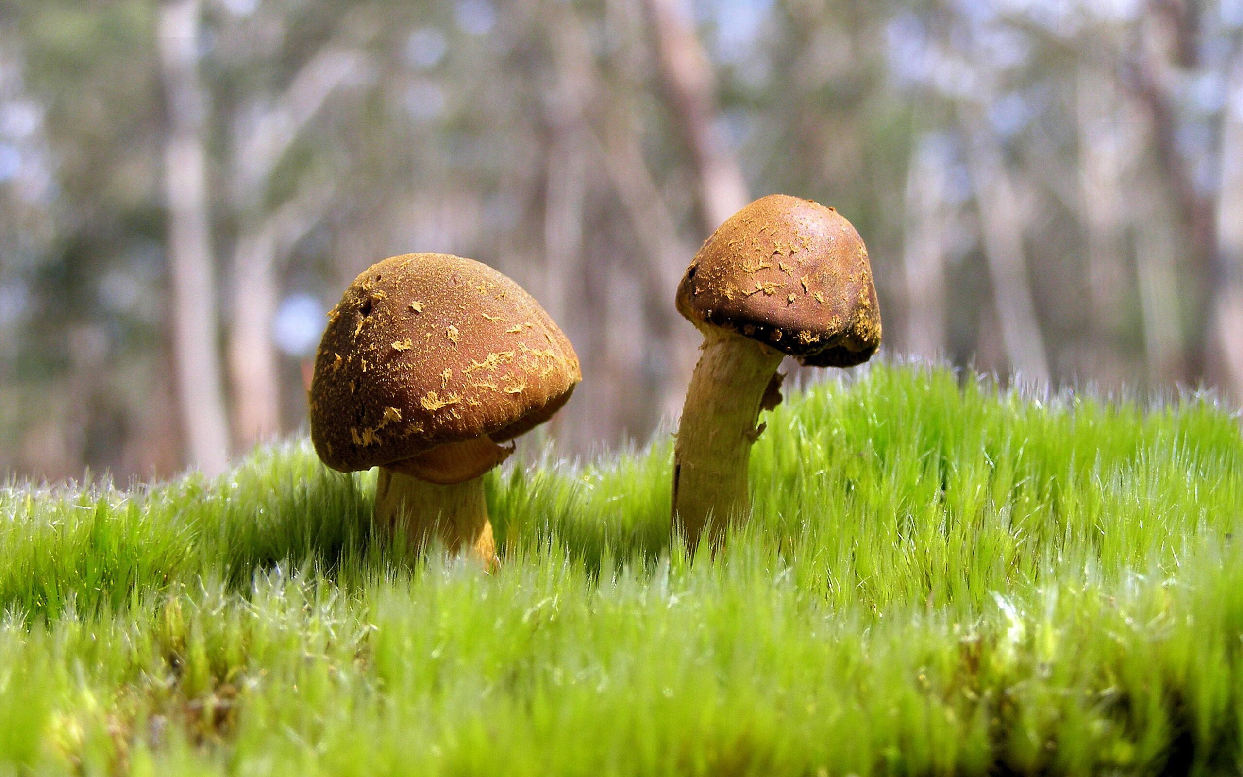 爱游戏资讯-世界杯激情激荡：每一场都让人热血沸腾，世界杯精彩瞬间视频